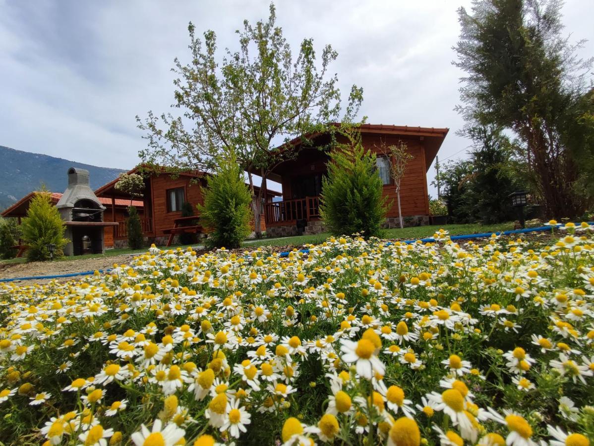 Hurmalik Apart Evleri-Very Close To The Sea Large Garden Bungalow With Barbecue And Swing Karaoz Buitenkant foto